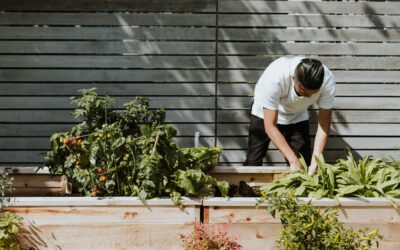 Spring Into Action: How to Prevent Injury During Yard Work This Season